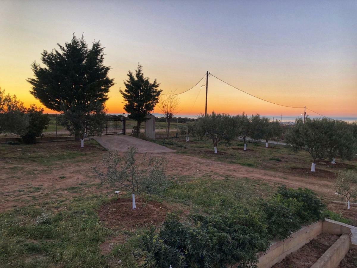 The Hillhouse Near Alexandroupolis Villa Dış mekan fotoğraf